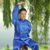 zhengyi 169q web3