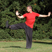 Tai Chi Chuan an der Tai Chi und Qi Gong Schule Bernd Haber