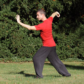taichi form berndhaber03 peitsche 170