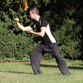 taichi form berndhaber04 170