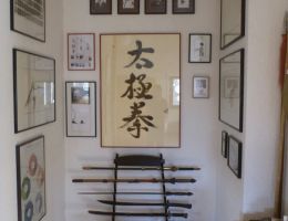 tai chi dojo bernd haber 21x900