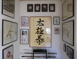 tai chi dojo bernd haber 22 mastersx900