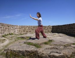 taichi dojo bernd haber form outdoor01x900