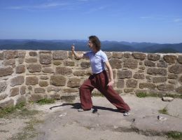 taichi dojo bernd haber form outdoor03x900