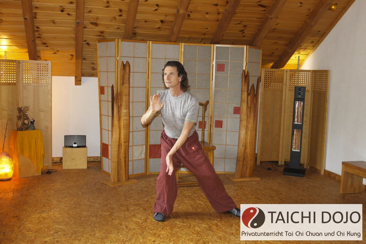 taichi dojo bernd haber form01x800
