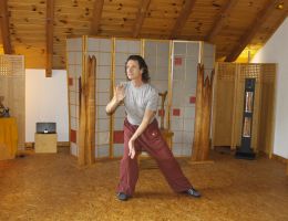 taichi dojo bernd haber form01x800