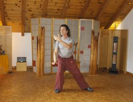 taichi dojo bernd haber form02x800