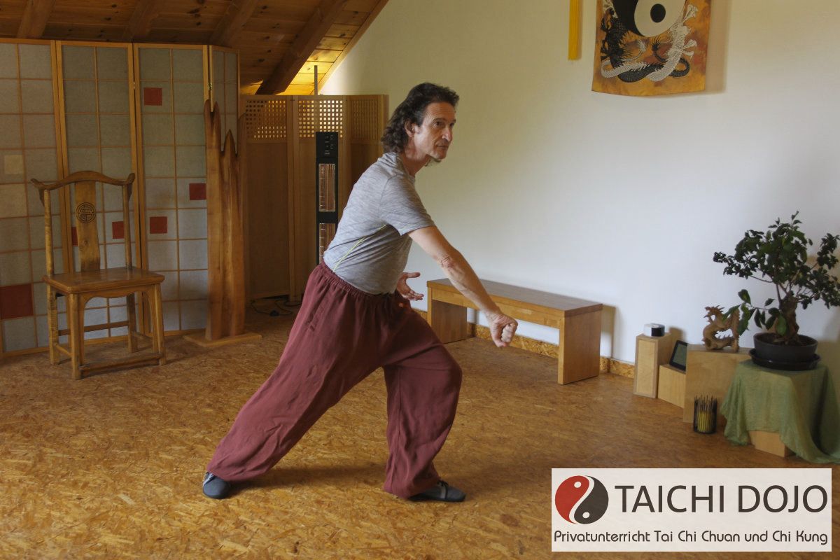 taichi dojo bernd haber form03x800