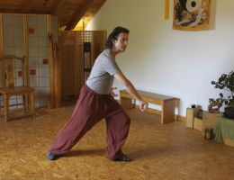 taichi dojo bernd haber form03x800