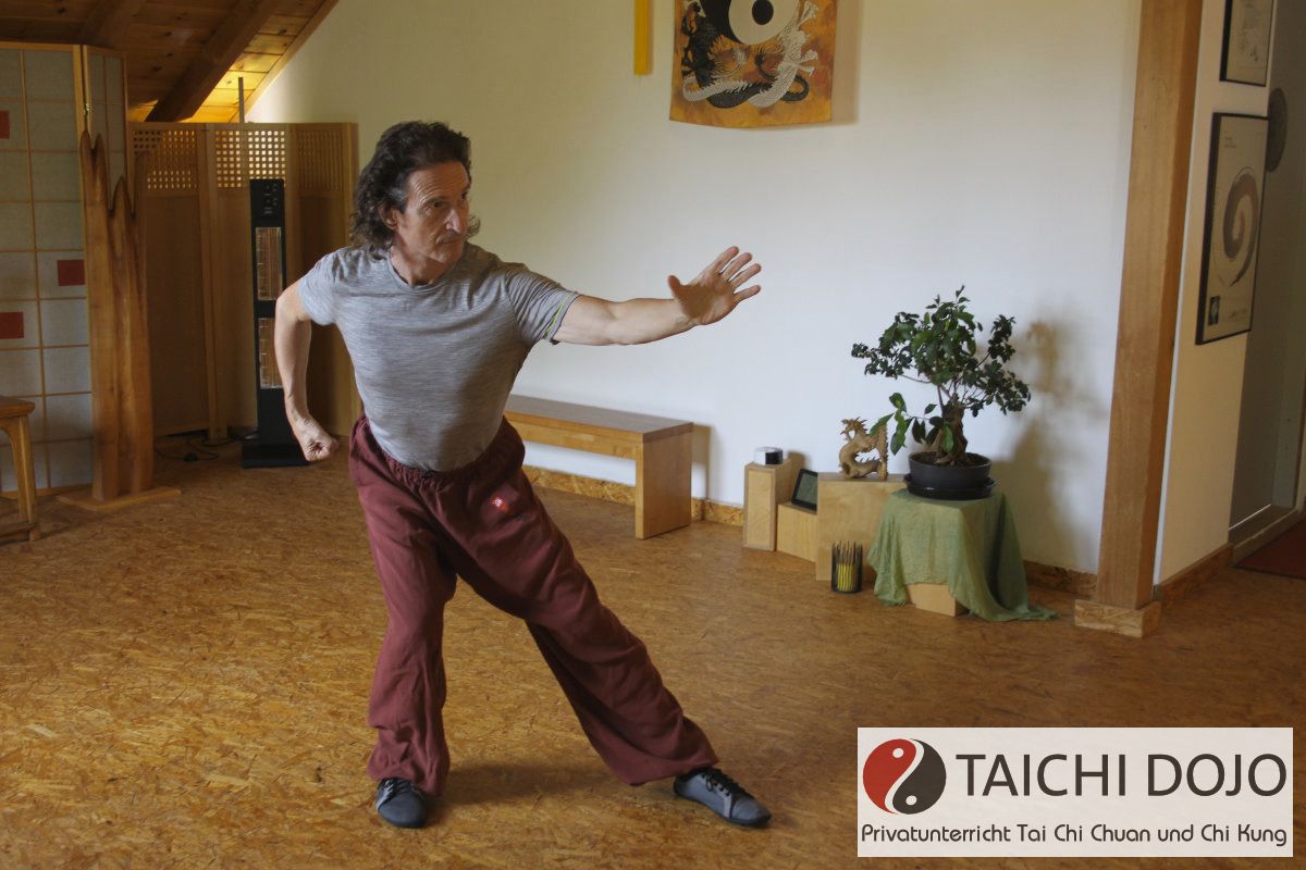 taichi dojo bernd haber form04x800
