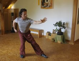 taichi dojo bernd haber form04x800