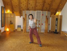 taichi dojo bernd haber form06x800