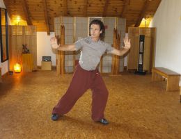 taichi dojo bernd haber form07x800
