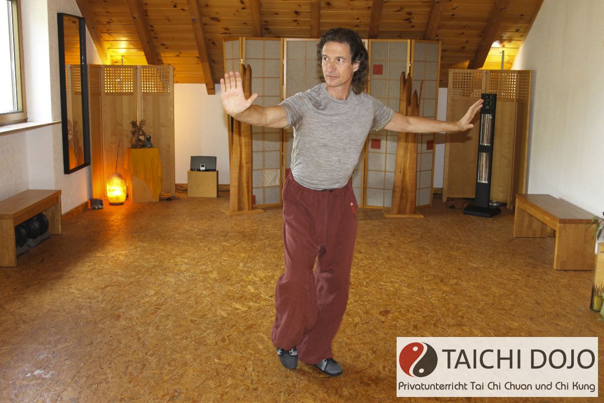 taichi dojo bernd haber form08x800